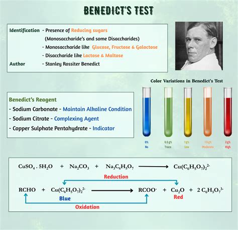 Benedicts Test - Test for Reducing Sugars | Chemistry, Science poster ...