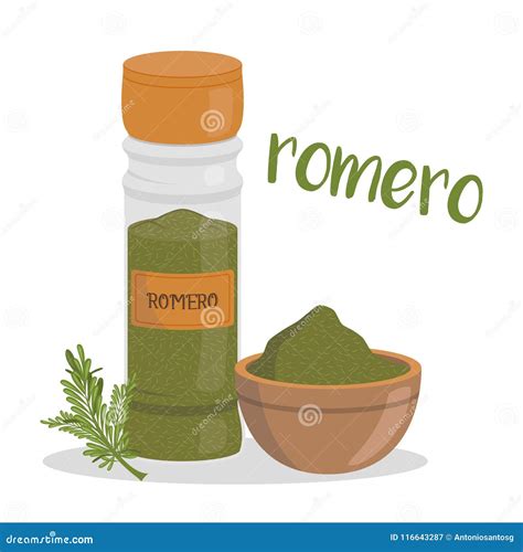 Vector Rosemary Illustration Isolated in Cartoon Style. Spanish Name ...