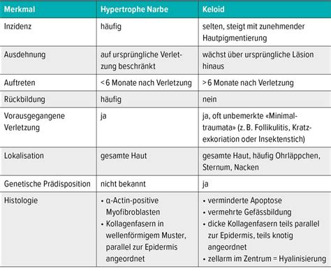 Mit anschaulichen Algorithmen zum besten Therapieergebnis ...