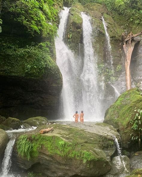 Nature Beach Swimming 的图像结果