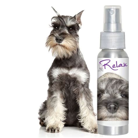 dog aromatherapy