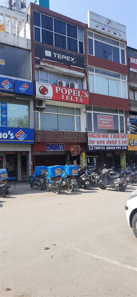 Popels Ielts Academy, Sector 59, Sahibzada Ajit Singh Nagar | Fees ...