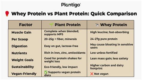 Whey Protein vs Plant Protein: Best for Muscle Gain?