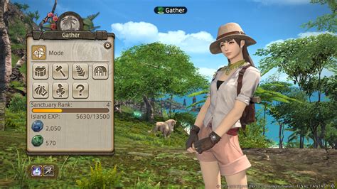 Ff14 island sanctuary guide