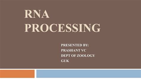 Image result for RNA Processing Animation