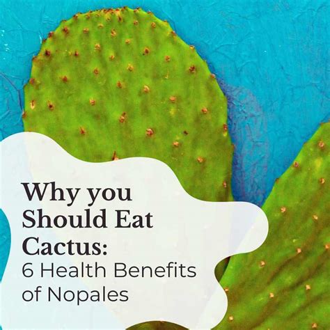 Why You Should Eat Cactus: 6 Powerful Benefits of Nopales - Nutrition ...