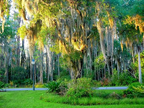 Wesley Chapel Tourism (2024): All You Need to Know Before You Go