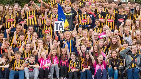 Hurling final: Tipperary woman a lone soldier in a sea of Cats – The ...
