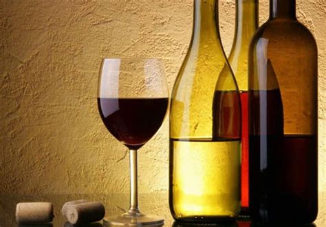 Diaphragm Pump Manufacturer/Supplier/Distributor in India