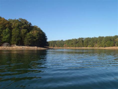 Drastic Drop In Water Temp Has Lake Lanier Bass On The Move - Georgia ...