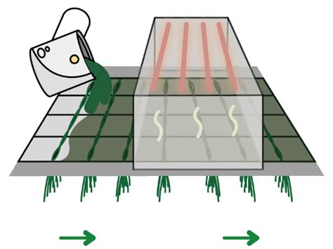 Grassyarn Process 的图像结果