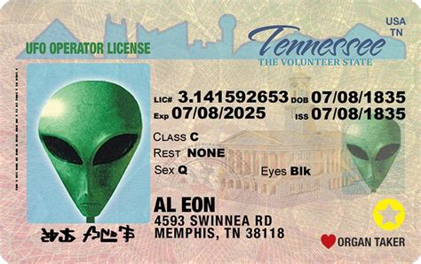 Image result for Alien ID