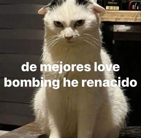 Pin de 𝑴𝒆𝒊 en Memes | Imágenes graciosas, Imágenes divertidas, Memes divertidos