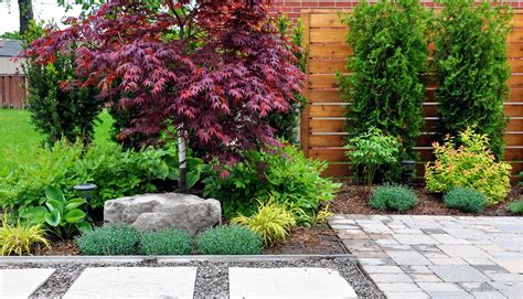 Backyard Landscaping Japanese Maple