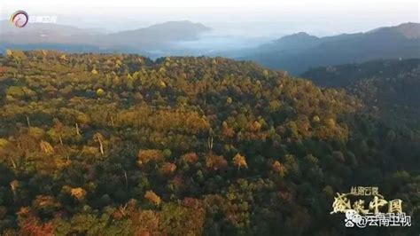 乌蒙深处最新素材