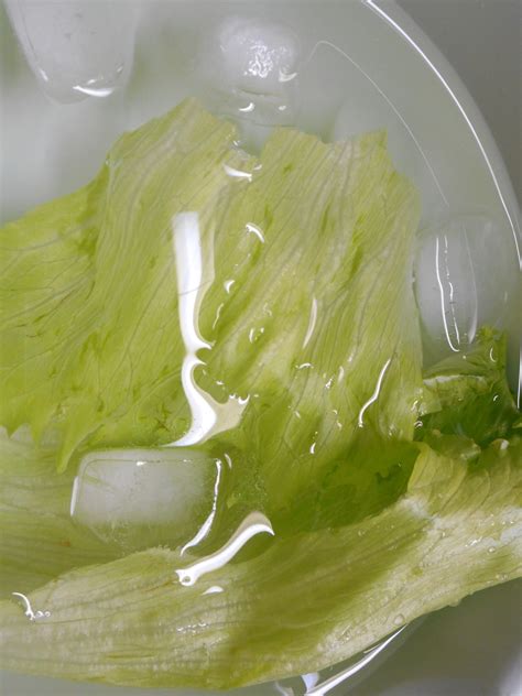 Can lettuce water really help you sleep better?