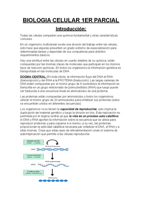 Image result for Vector Database Visualization