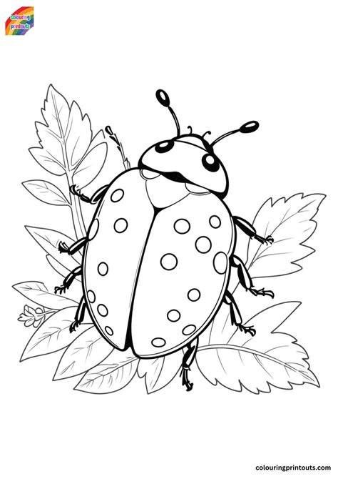 Lady Bird Coloring Pages