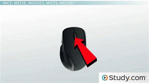 Computer Output Devices 的图像结果