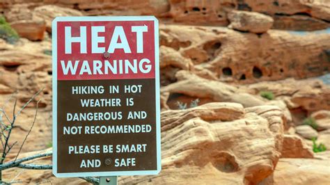 Copernicus reports 2024 as hottest summer on record - Algerian Star