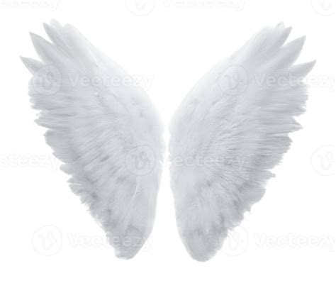 white angel wings. 21887974 PNG