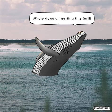 85 hilarious whale puns to spout laughter humor living – Artofit