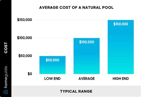 How Much Does a Natural Pool Cost? (2025)