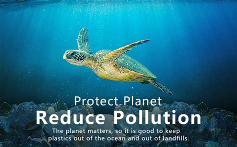 House of Quirk 2 Litre 3D Sticker Water Bottle with Straw, Unbreakable ...