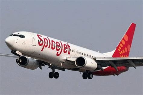 Middle East crisis: SpiceJet to operate four special flights from UAE's ...