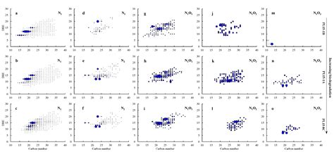 Characterization of Severely Biodegraded Crude Oils Using Negative-Ion ...