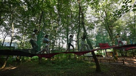 Adventure Theme Park 的图像结果