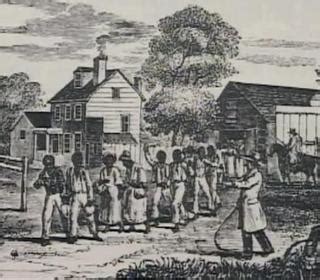 Task System 的图像结果