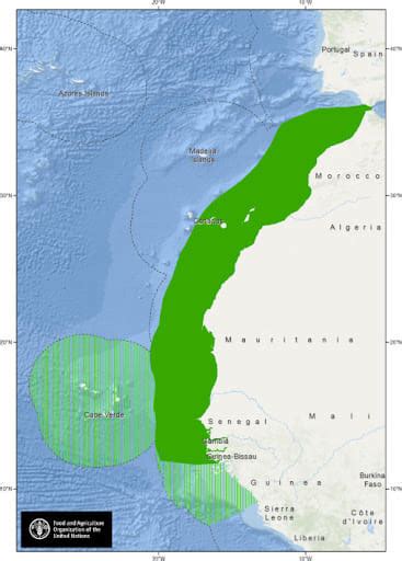 Canaries Current - Oceanic Currents - Geography Notes