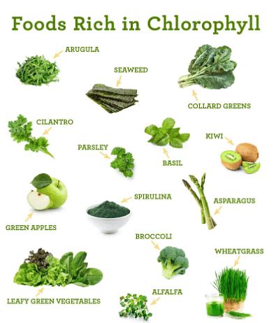 Factors affecting the rate of photosynthesis in crop growing - Year 7 ...