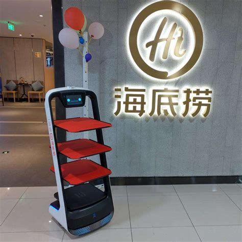 Service Robot 的图像结果