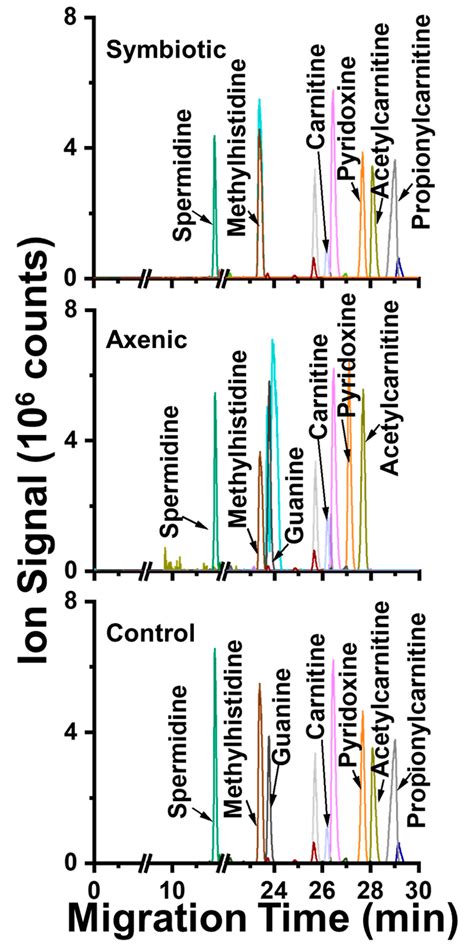Capillary Electrophoresis Electrospray Ionization Mass Spectrometry ...