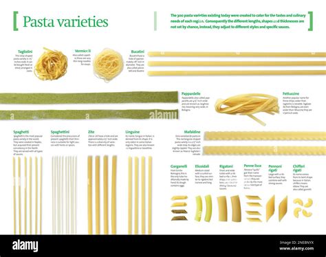 Infographics about Italian pasta varieties, long pasta, ribbons and ...