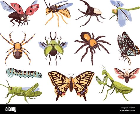 Wasp larvae ladybug hi-res stock photography and images - Alamy