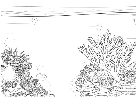 Premium Vector | Vector hand drawn habitat ocean floor with corals ...