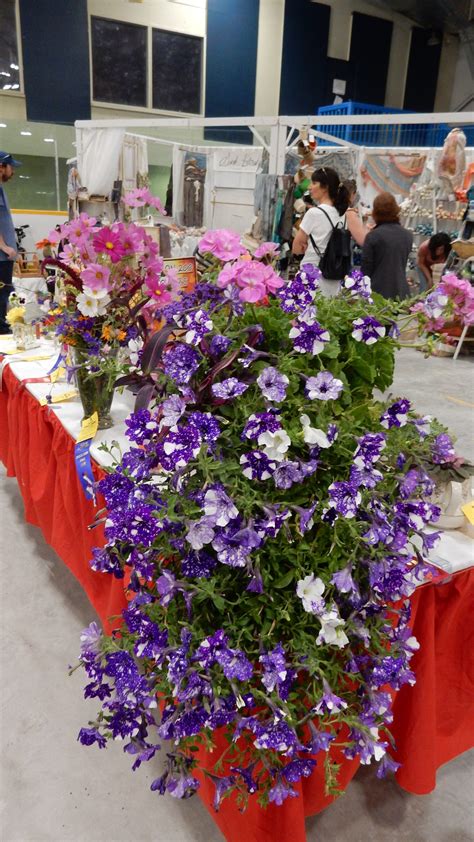 Flowers at Rossland Fall Fair, 2019 - Rossland Telegraph