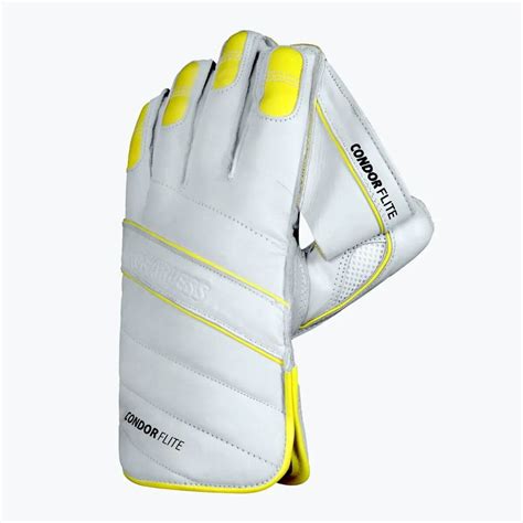 DSC Condor Flite Cricket Wicket Keeping Gloves – Sportswing.in
