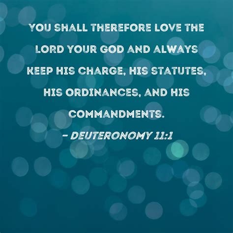 Deuteronomy 1 11