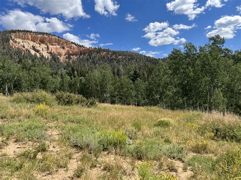 Navajo County Parcel Search