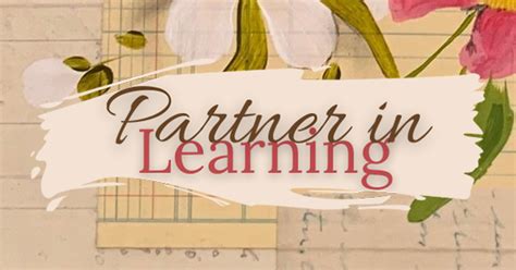 3 Learning Partner 的图像结果