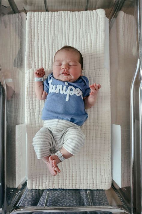 The Name Juniper & It's Biblical Meaning - McKenzie Sue Makes