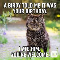 Image result for funny birthday wishes meme