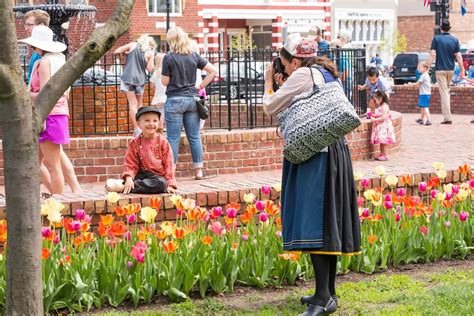 Tulip Festival Pella Iowa