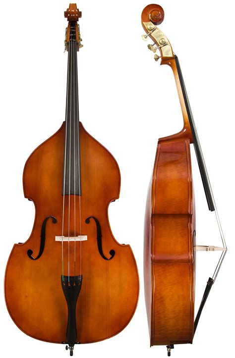 Different Types Of Upright Bass at Travis Munoz blog