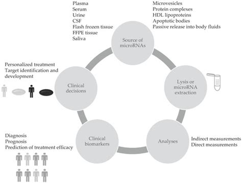 Measurements Methods for the Development of MicroRNA-Based Tests for ...
