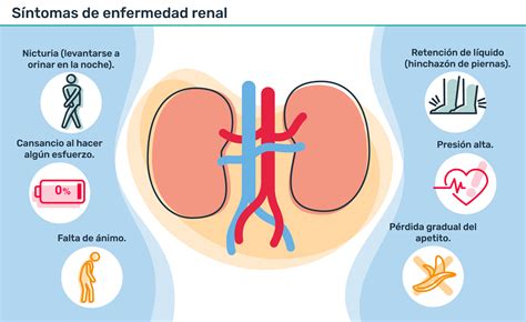 Sintomas De Riñones Enfermos